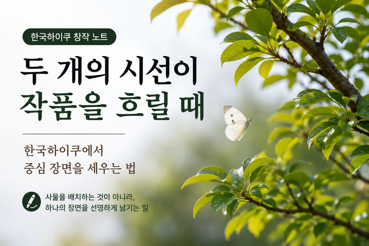대표 이미지
