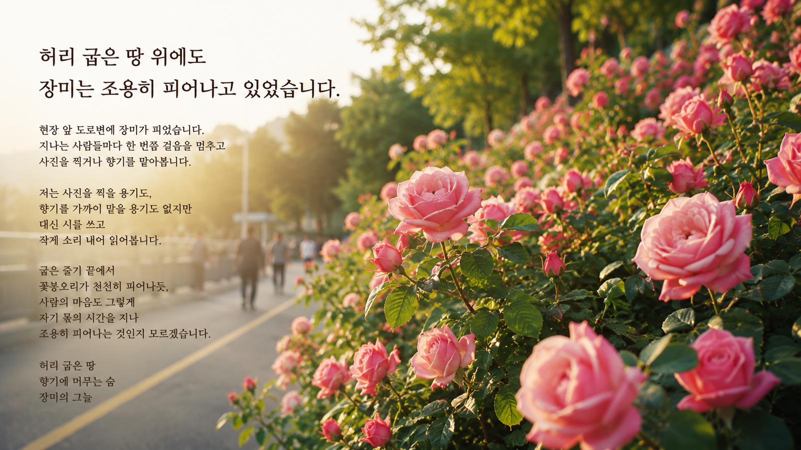 Shade of the Roses