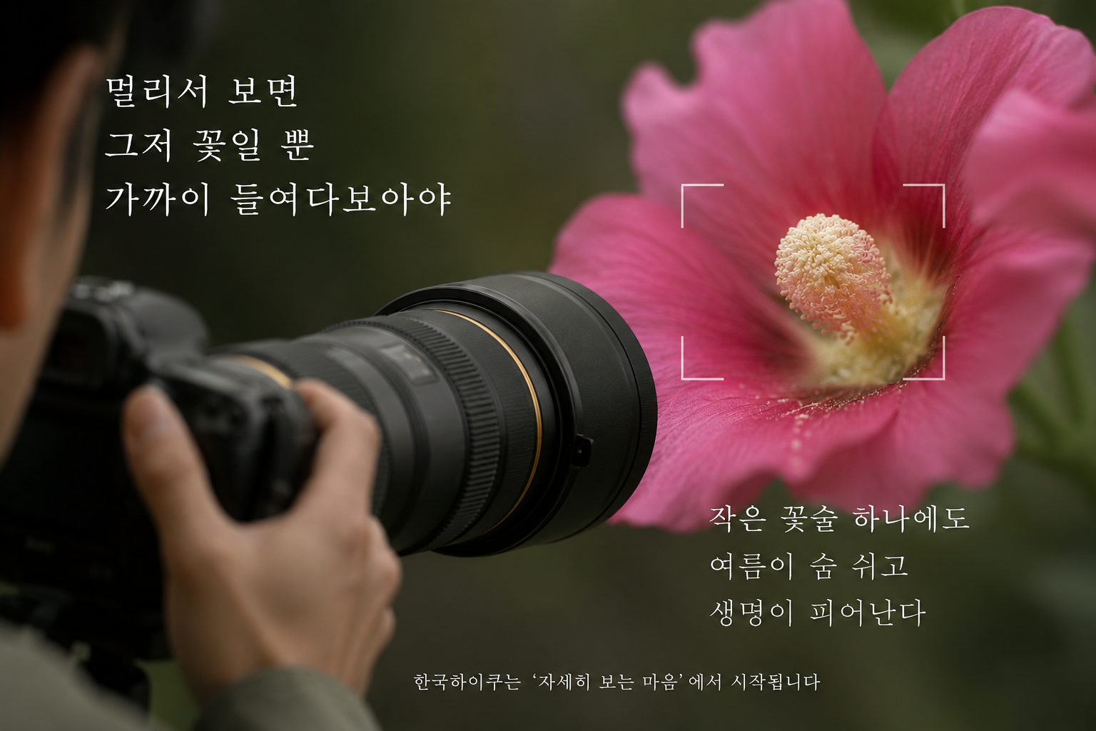 한국하이쿠는 관찰에서 시작된다